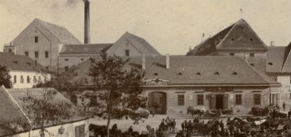 Főhercegi sörgyár és malom, Mosónmagyaróvár